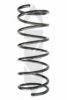 SPIDAN 55126 Coil Spring